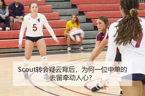 Scout转会疑云背后，为何一位中单的去留牵动人心？